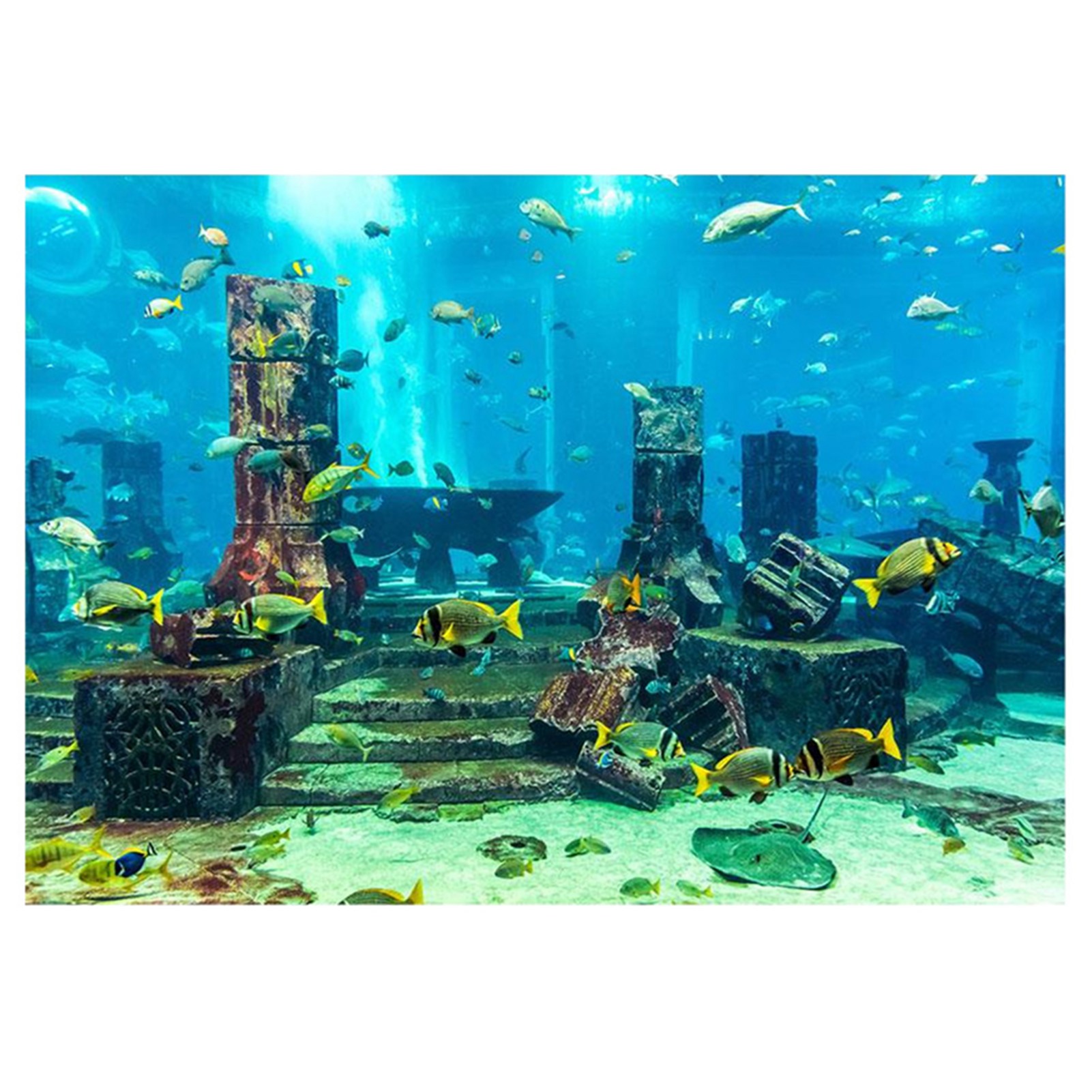 Aquarium Fish Poster - ZK20 коралловый фон для аквариума, подводный