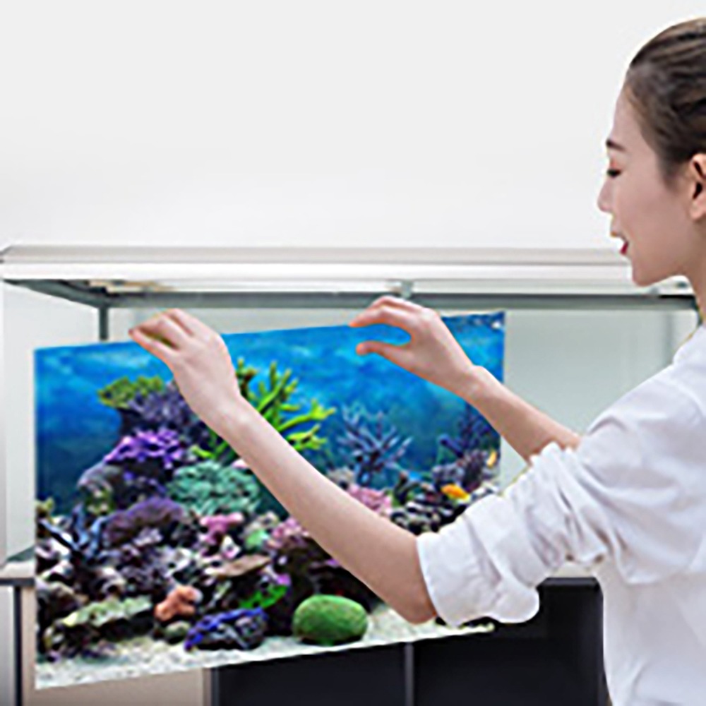 Aquarium Fish Poster - Фон для аквариума из ПВХ, постер,