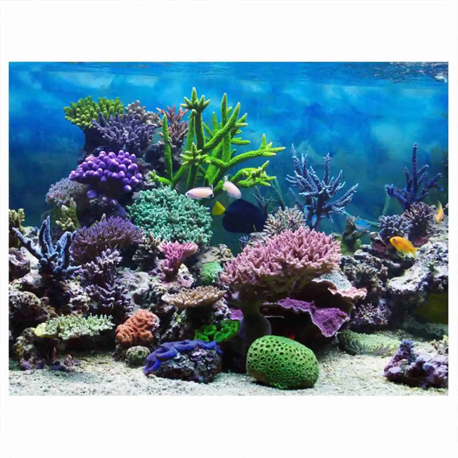 Aquarium Fish Poster - 3D аквариум пейзаж постер тропический лес