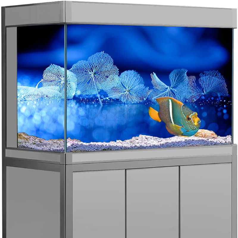 Aquarium Fish Poster - Декор для аквариума, наклейка на фон