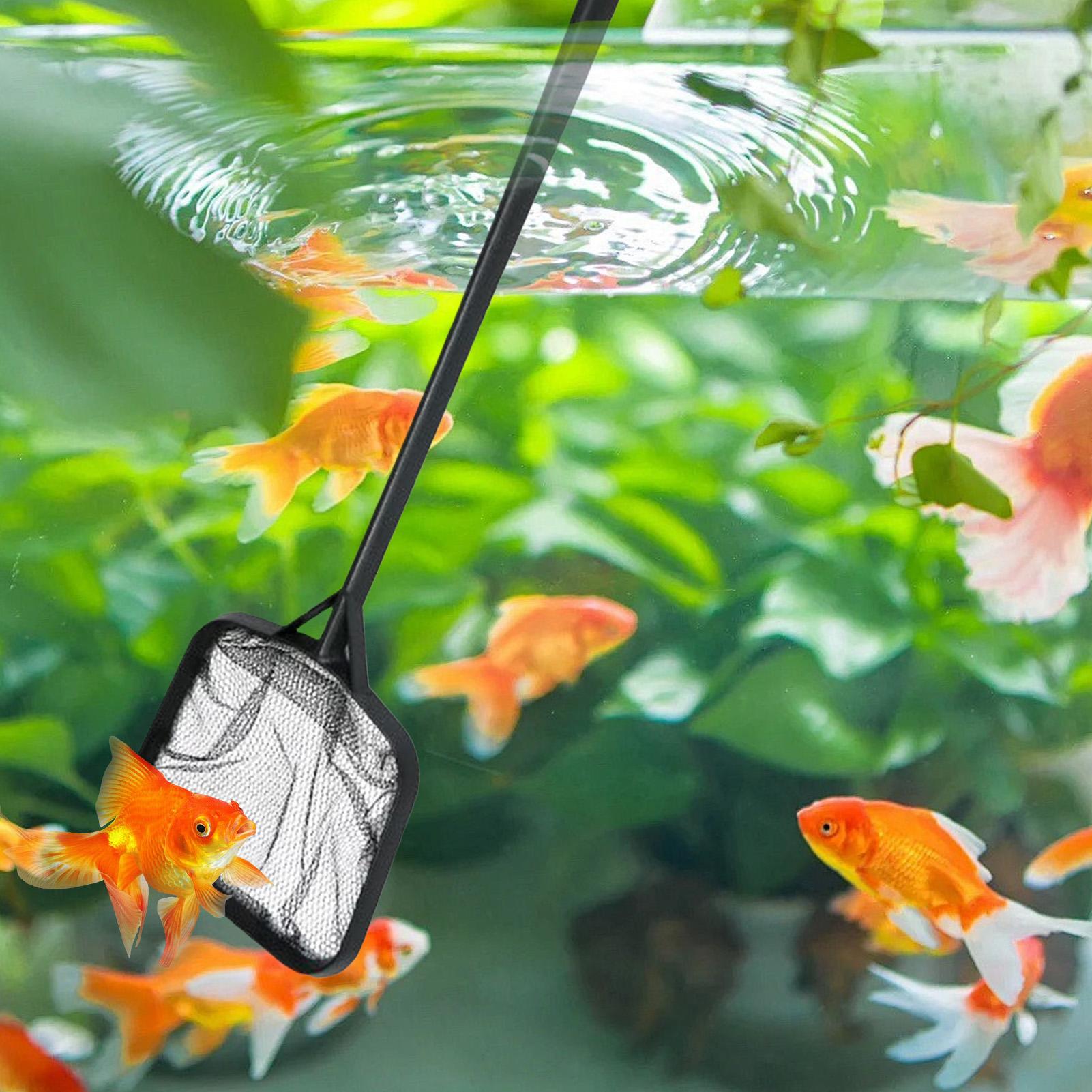 Сетки для чистки бассейнов, по – обзор и цена Aquarium Fish Items