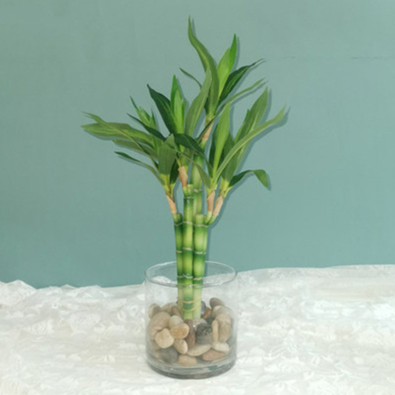 Новый 40 см искусственный счас – обзор и цена Aquarium Fish Pot