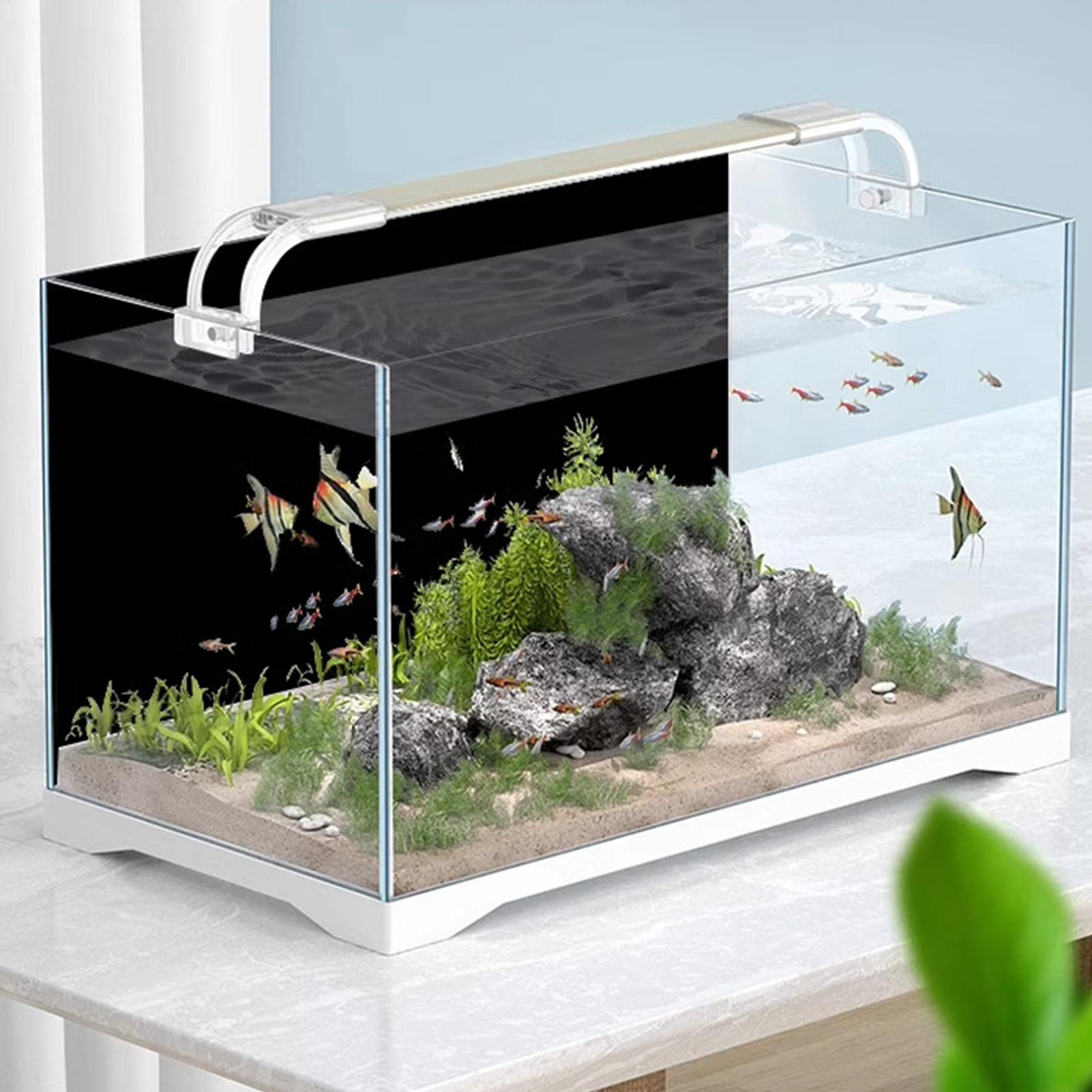 Фон для аквариума на статическ – обзор и цена Aquarium Fish Poster