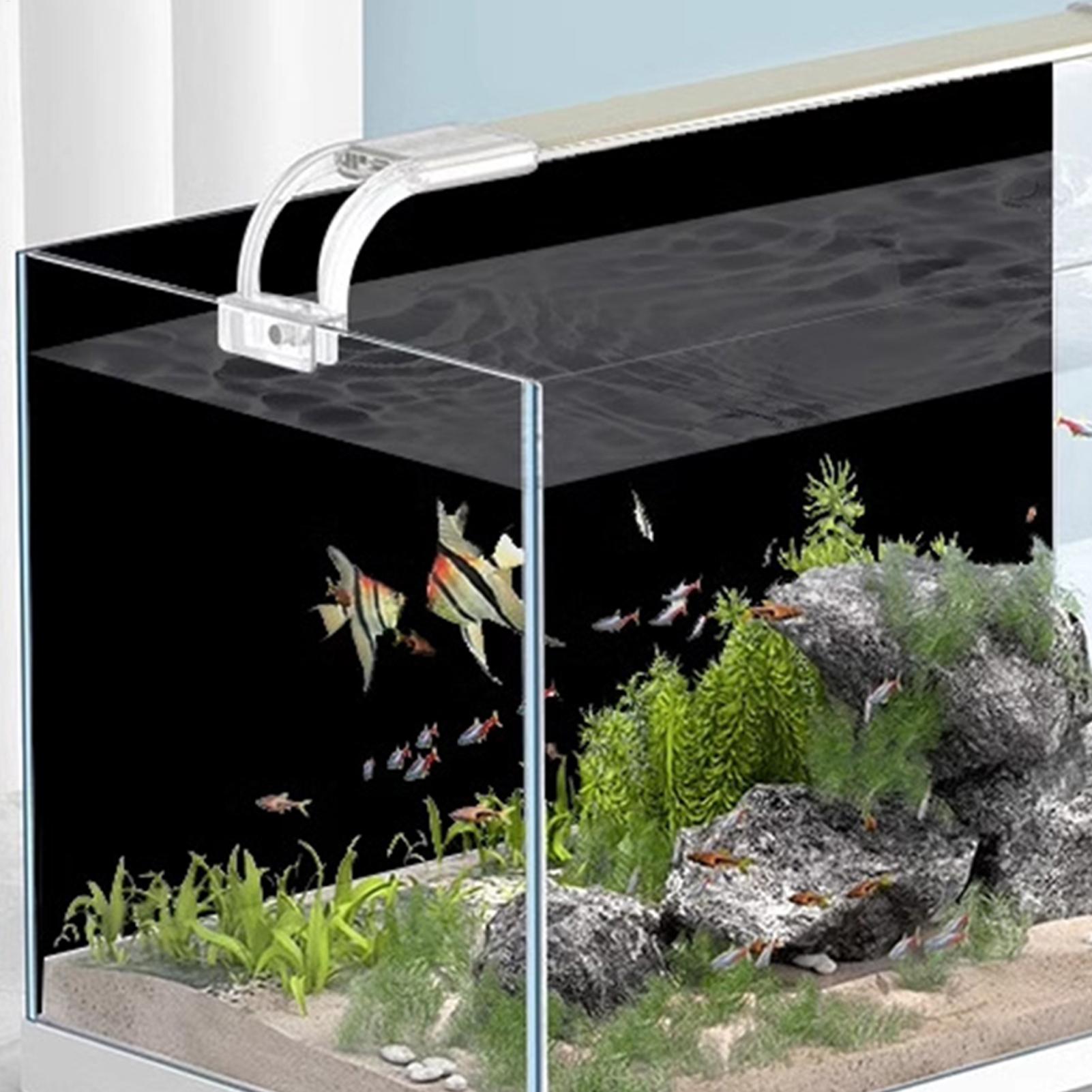 Фон для аквариума на статическ – обзор и цена Aquarium Fish Poster