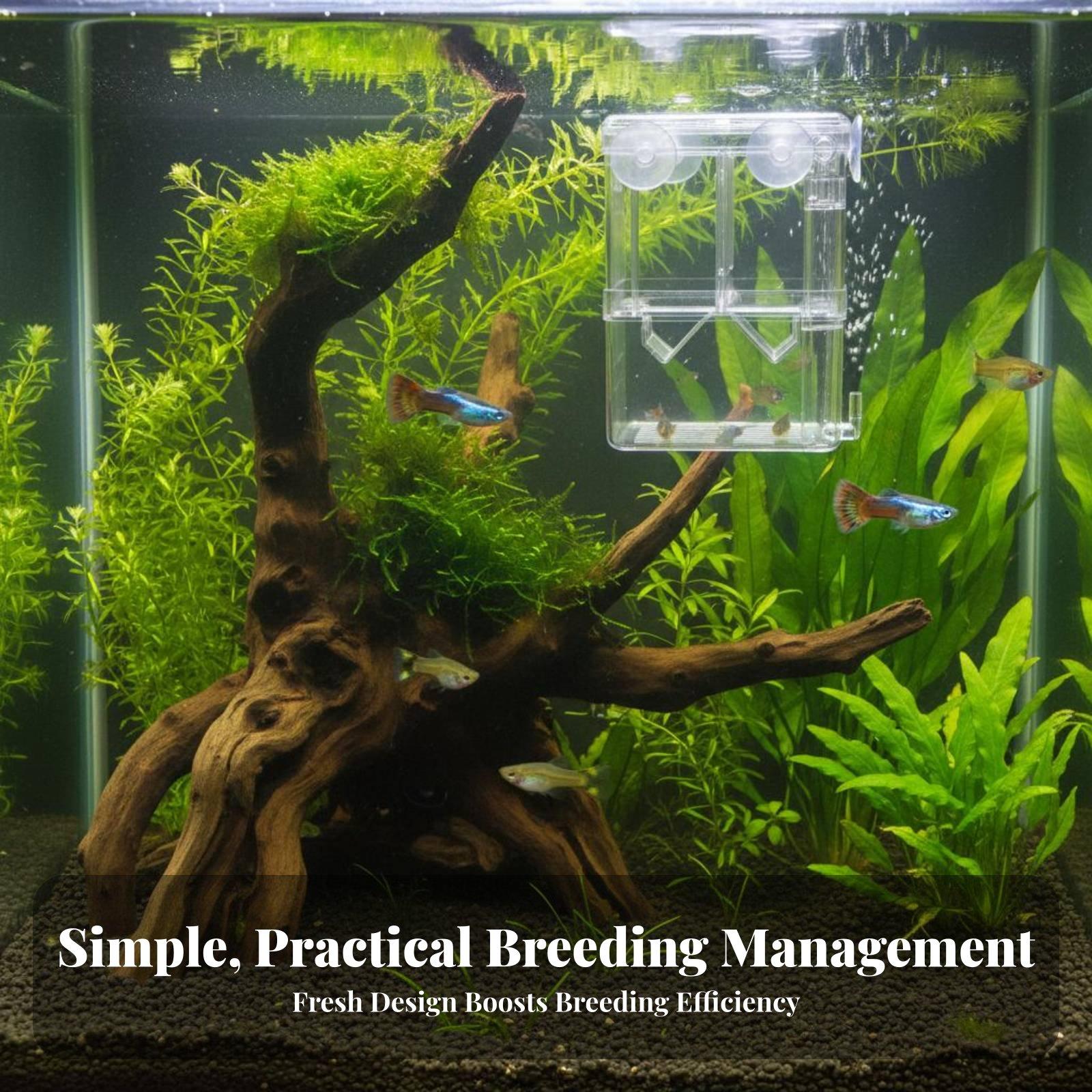 Двухслойный аквариумный резерв – обзор и цена Aquarium Fish Usa