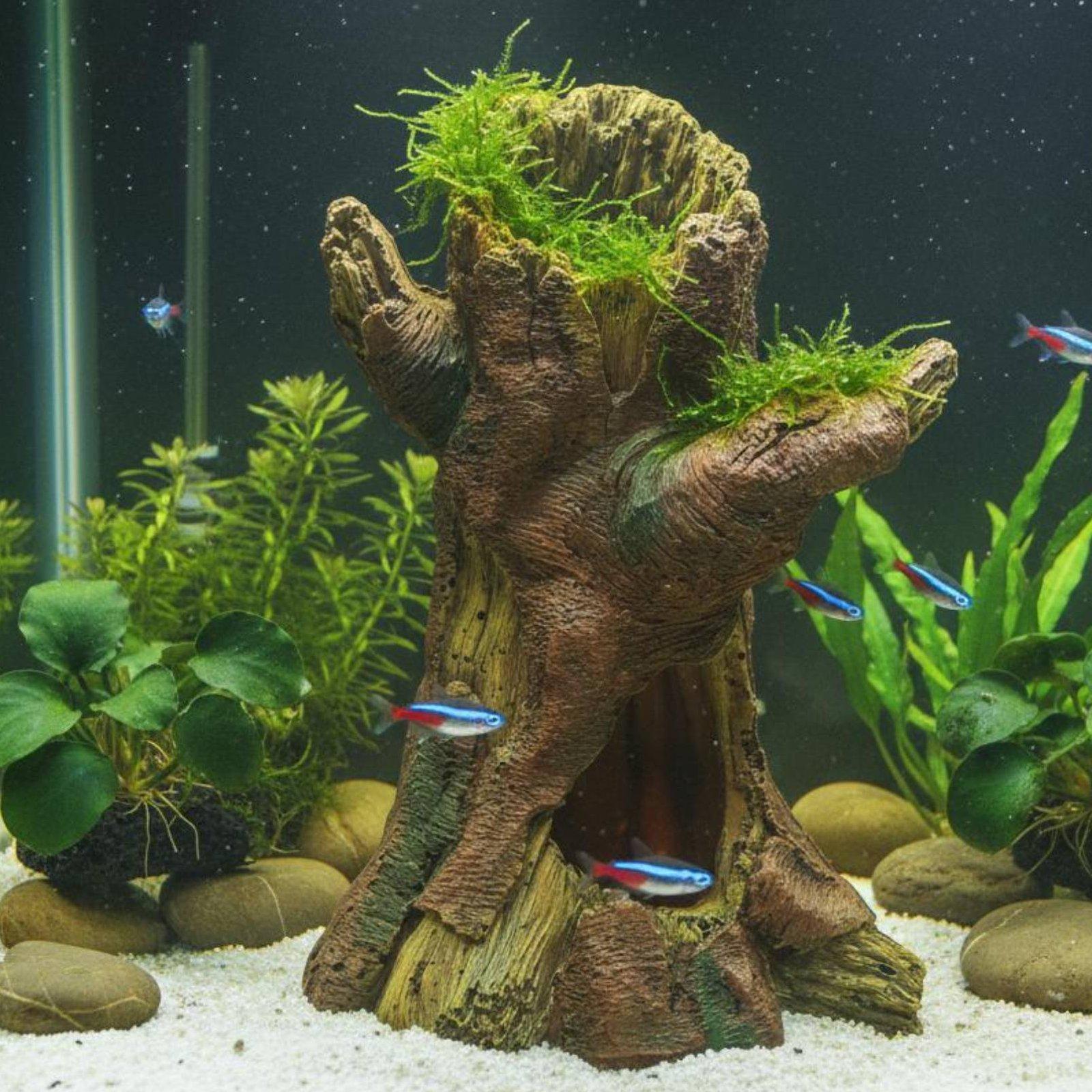 Декор для аквариума: Декоратив – обзор и цена Aquarium Fish Usa