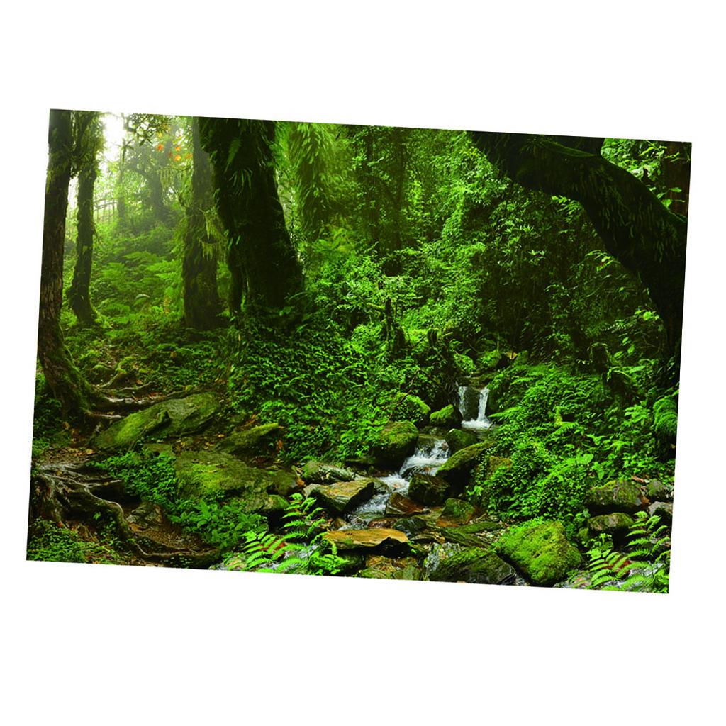 Фон для аквариума, постер ярки – обзор и цена Aquarium Fish Poster