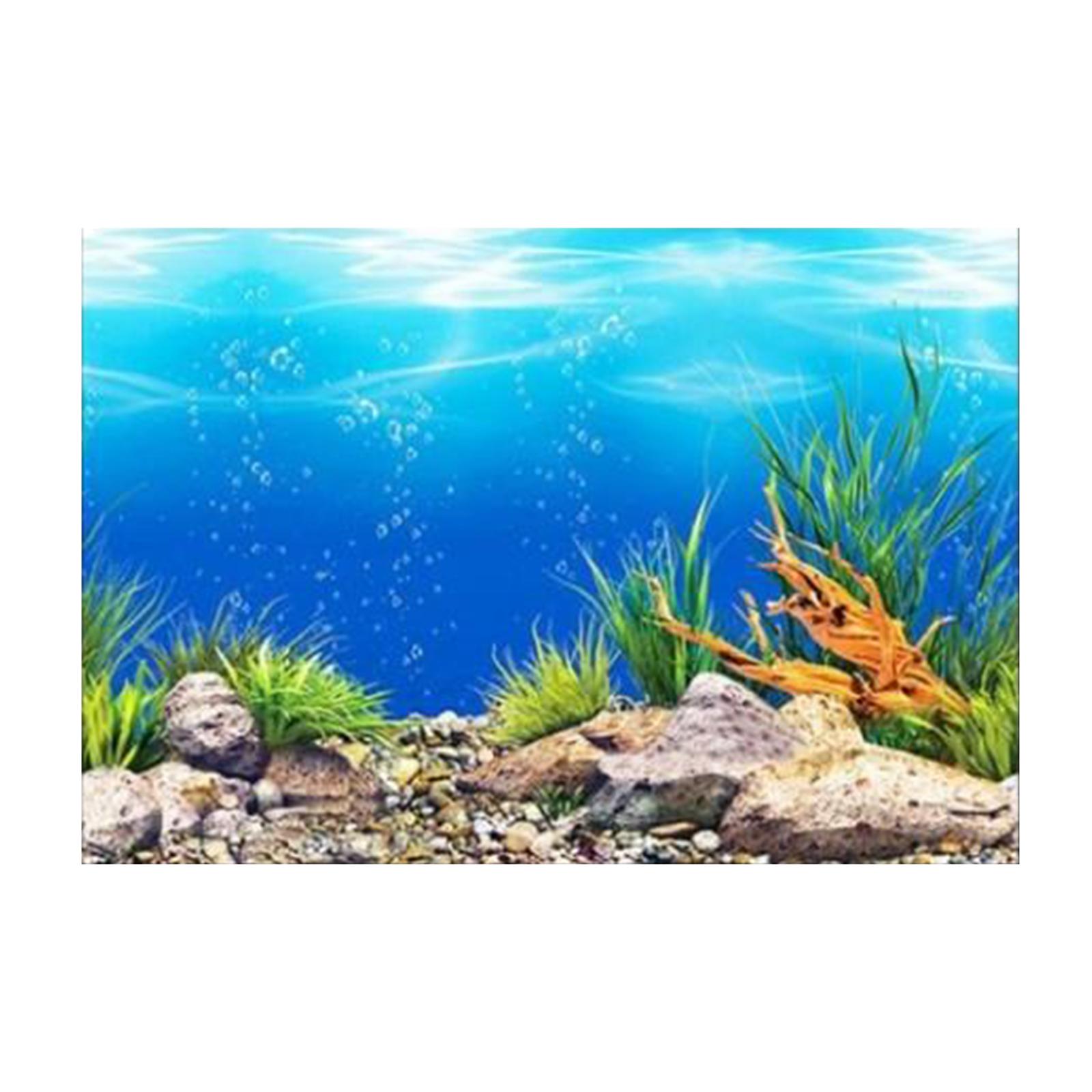 3D-постер для аквариума с эффе – обзор и цена Aquarium Fish Poster
