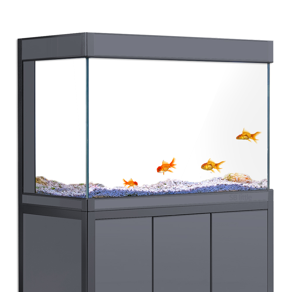 Фон для аквариума на статическ – обзор и цена Aquarium Fish Poster