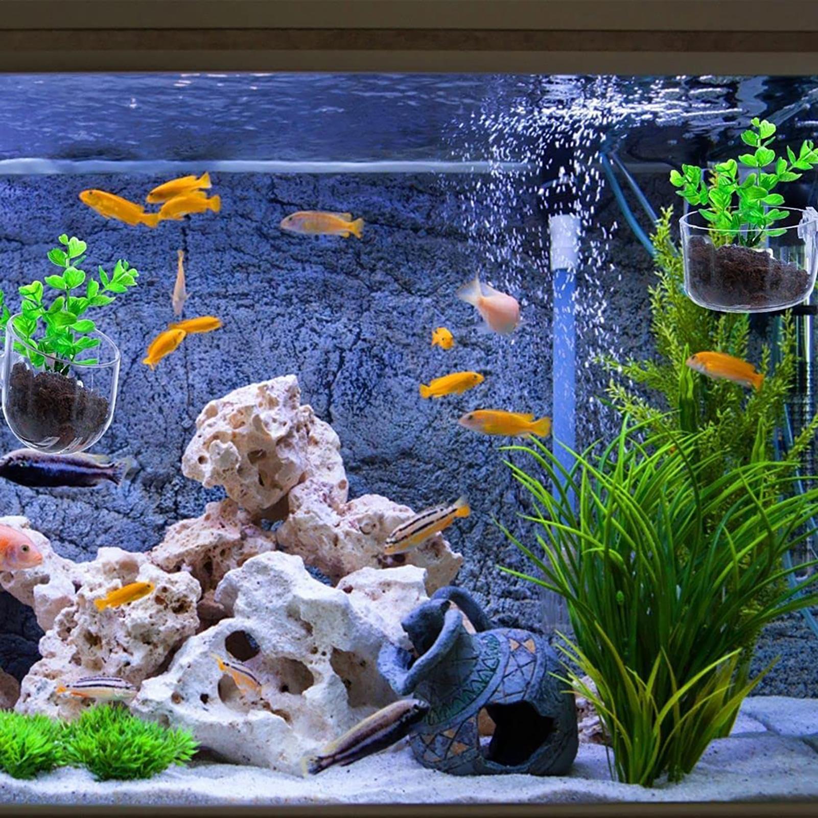 Горшок для водных растений, пр – обзор и цена Aquarium Fish Pot