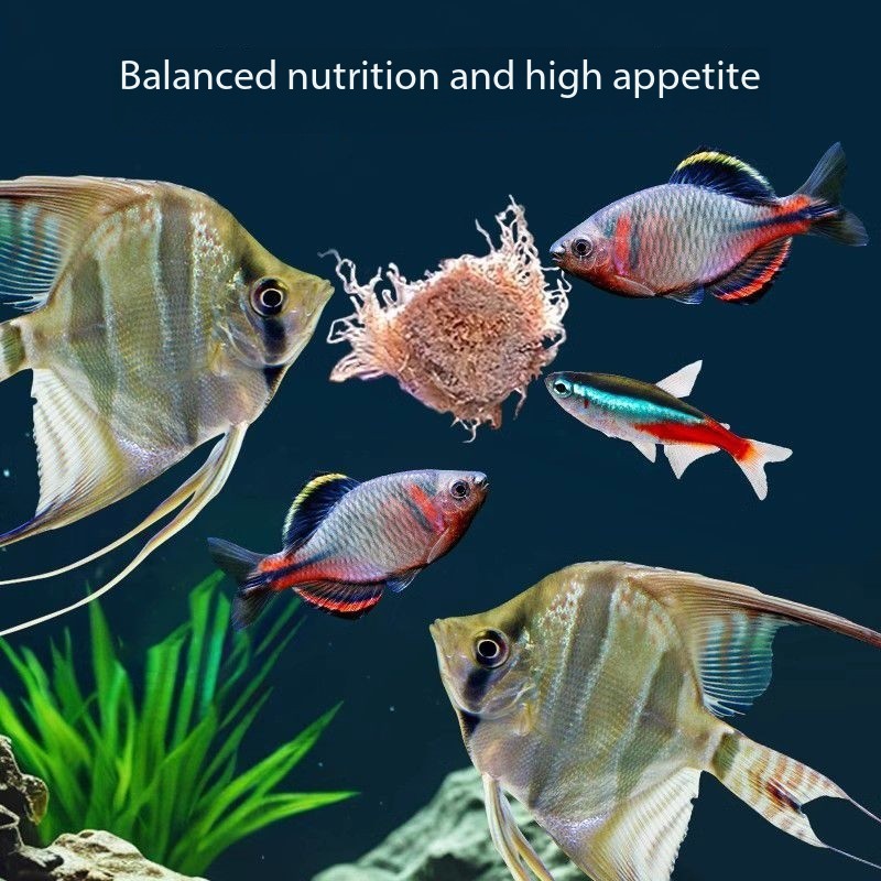 Высокобелковые сублимированные – обзор и цена Aquarium Fish Vitamin