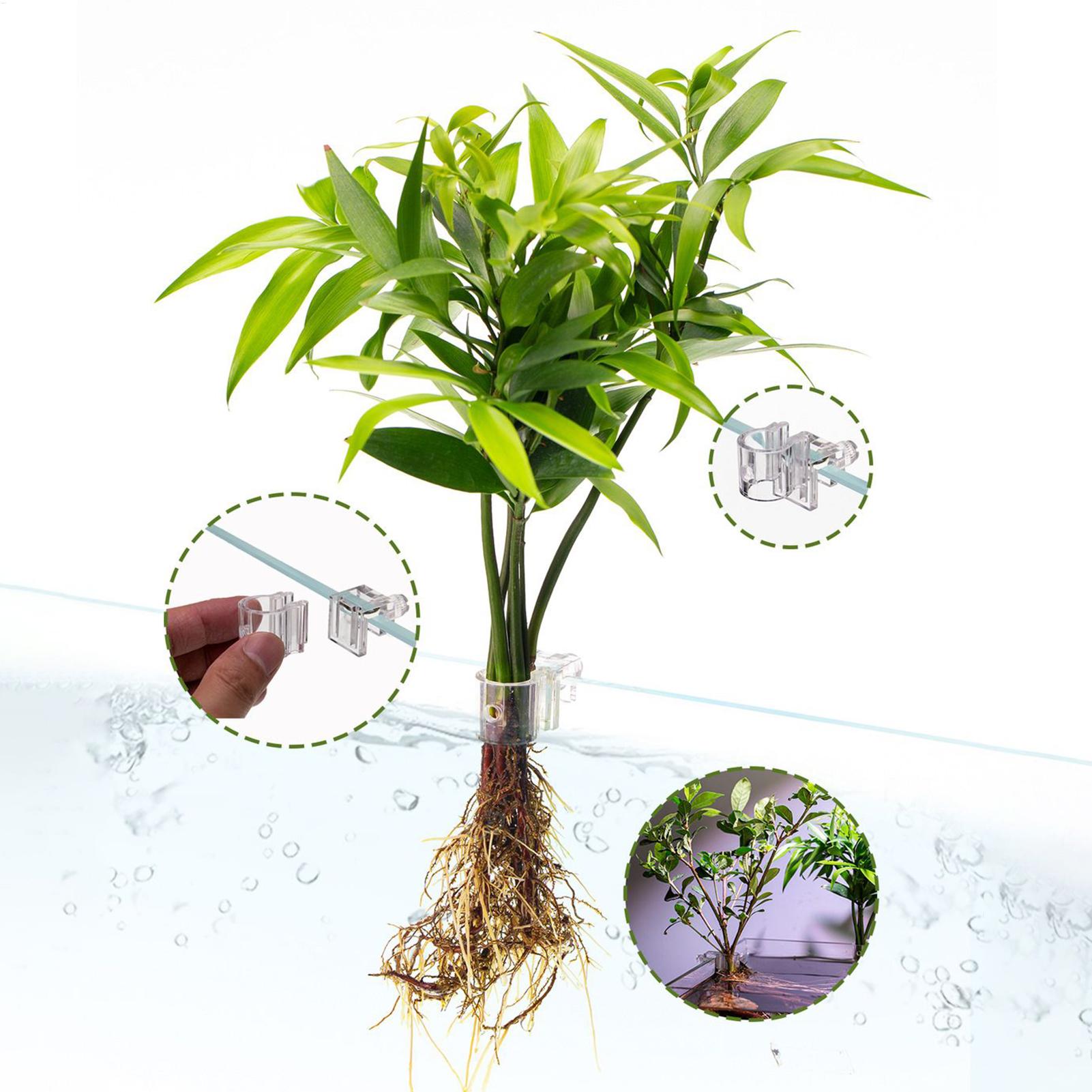 Прозрачная подвесная корзина д – обзор и цена Aquarium Fish Pot