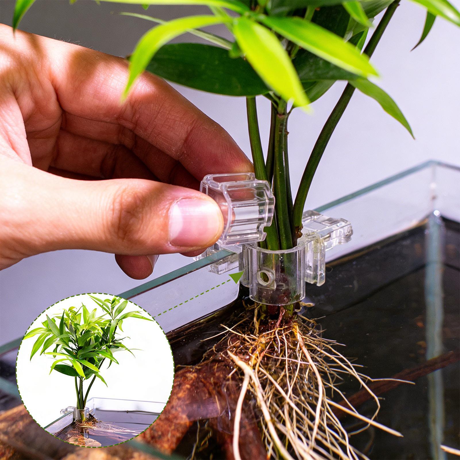 Прозрачная подвесная корзина д – обзор и цена Aquarium Fish Pot