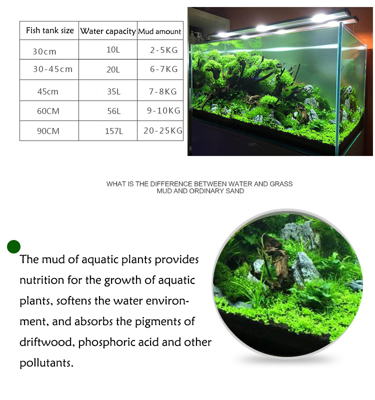 Семена аквариумных растений, п – обзор и цена Aquarium Fish Items