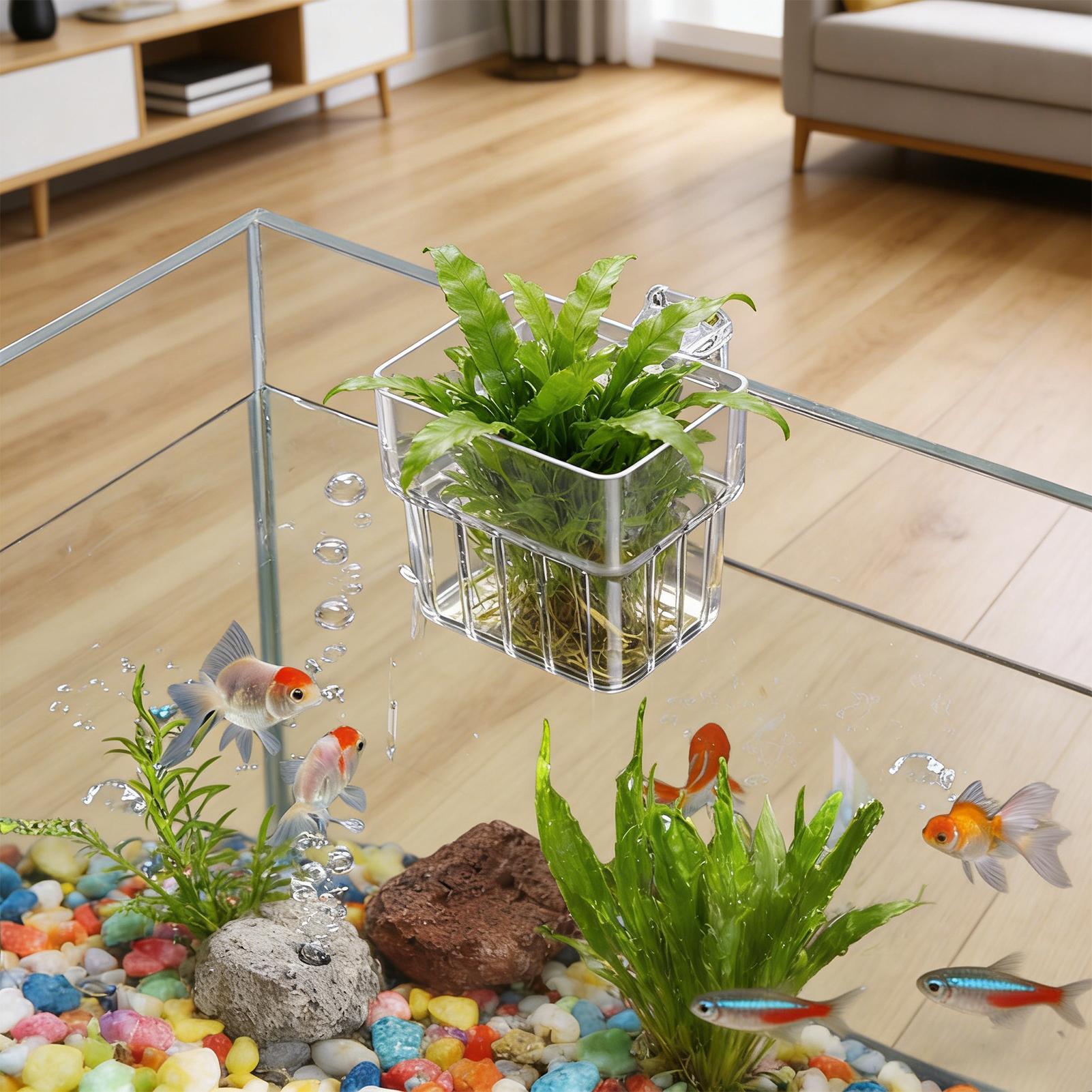 Прозрачный подвесной горшок дл – обзор и цена Aquarium Fish Pot