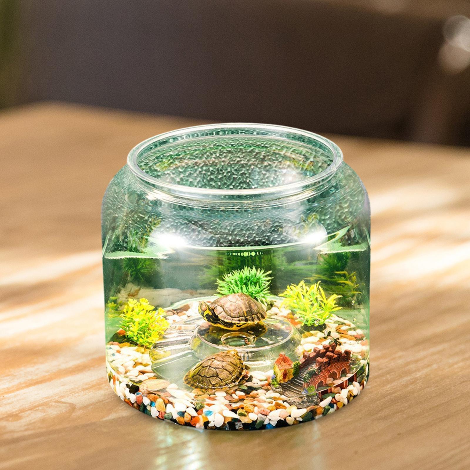 Настольный террариум для череп – обзор и цена Aquarium Fish Drawing