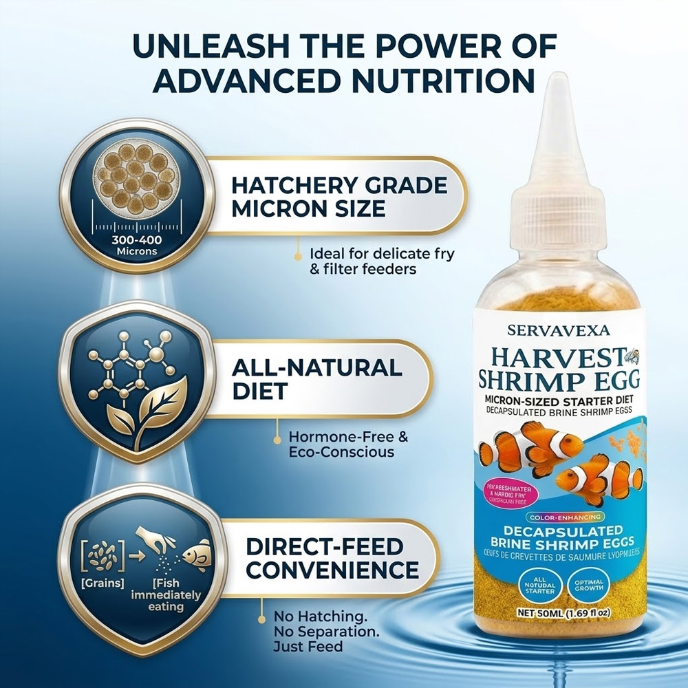 Высокобелковый корм для рыбок  – обзор и цена Aquarium Fish Vitamin