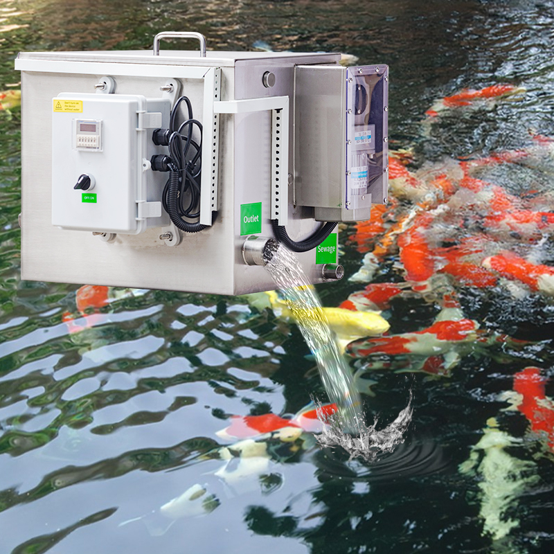 Домашний маленький барабанный  – обзор и цена Aquarium Fish Usa