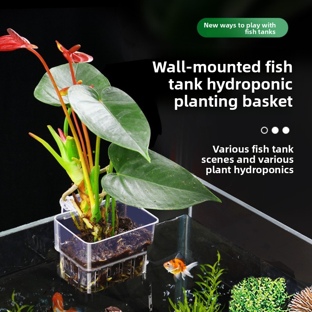 Корзина для гидропоники в аква – обзор и цена Aquarium Fish Pot